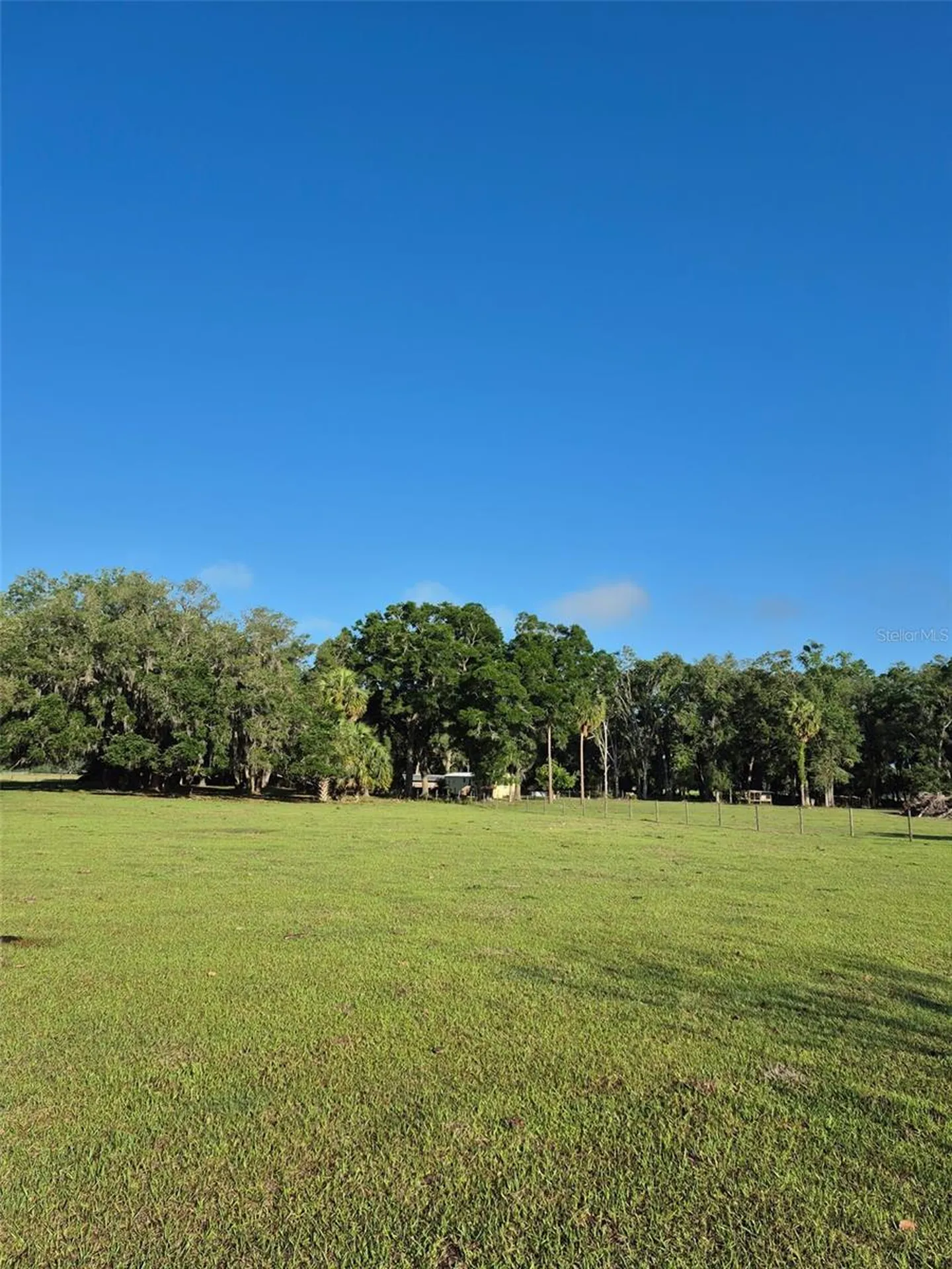 4351 NW 76th Court Chiefland FL 32626
