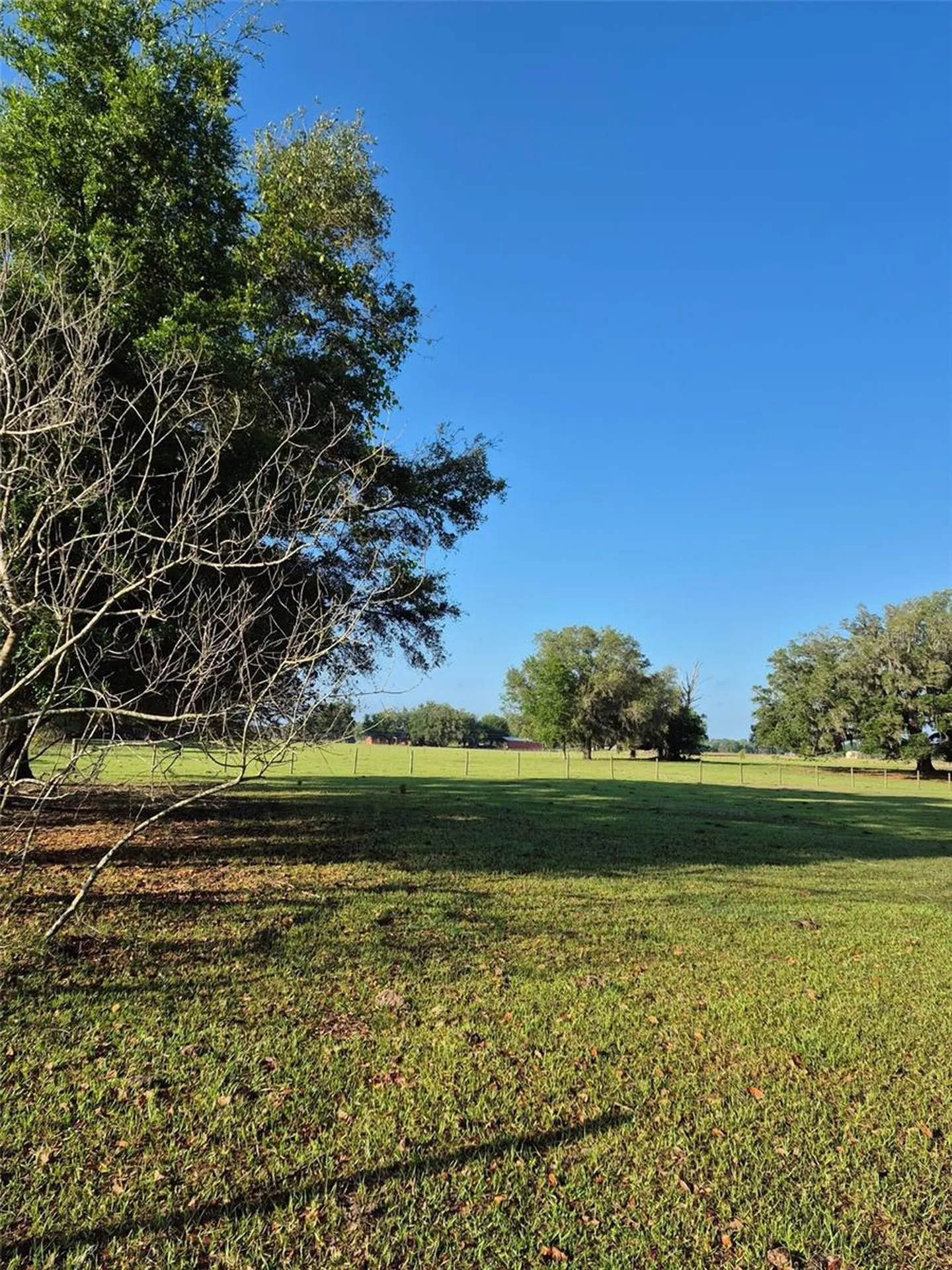 4351 NW 76th Court Chiefland FL 32626
