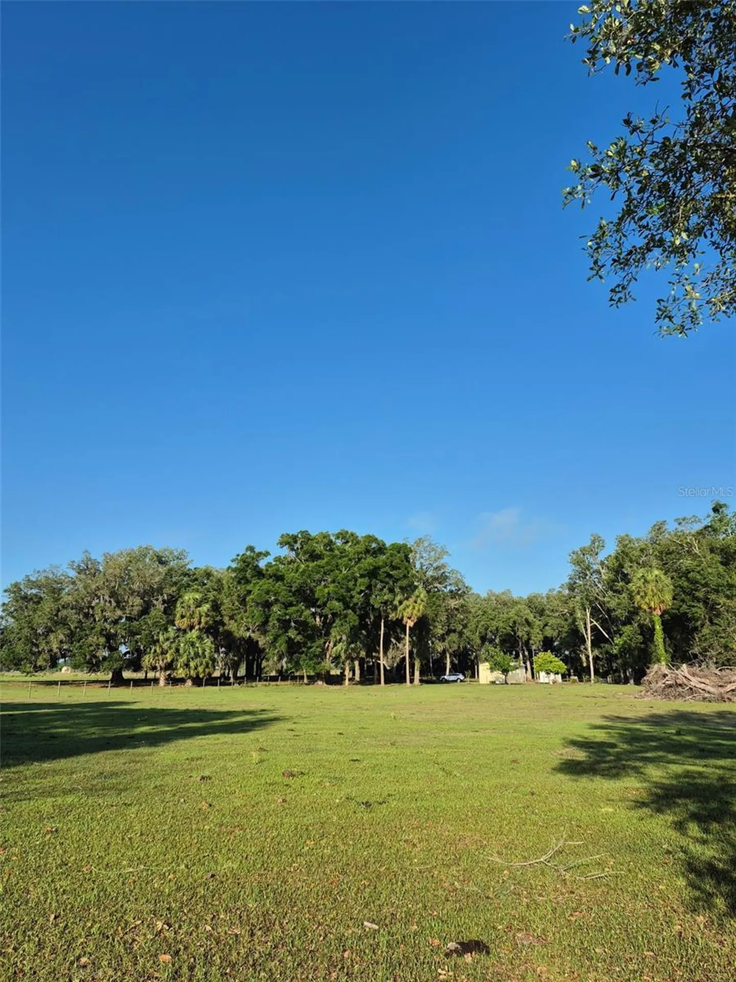 4351 NW 76th Court Chiefland FL 32626