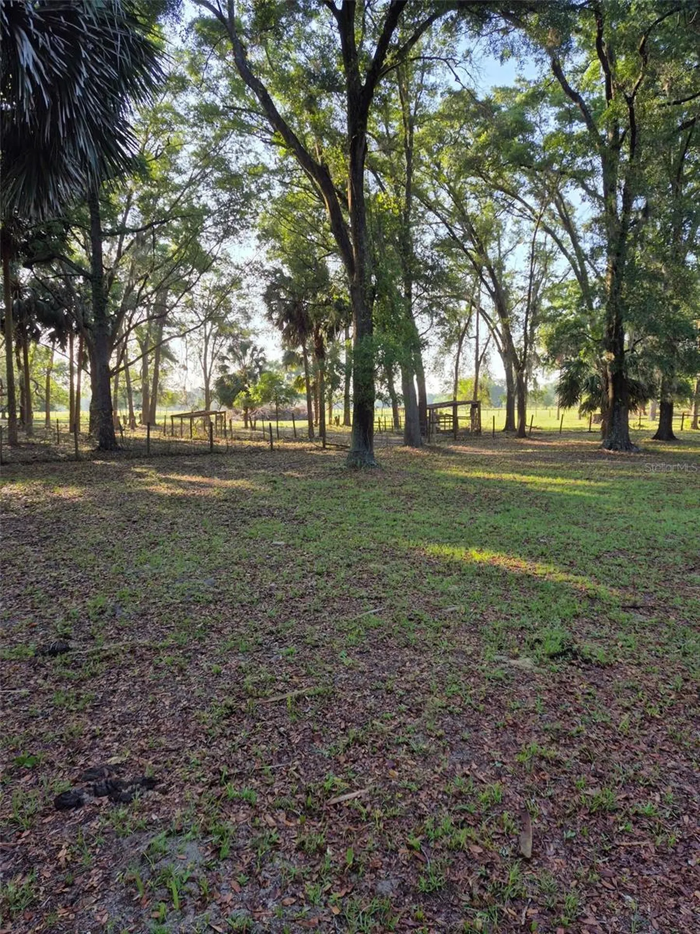 4351 NW 76th Court Chiefland FL 32626
