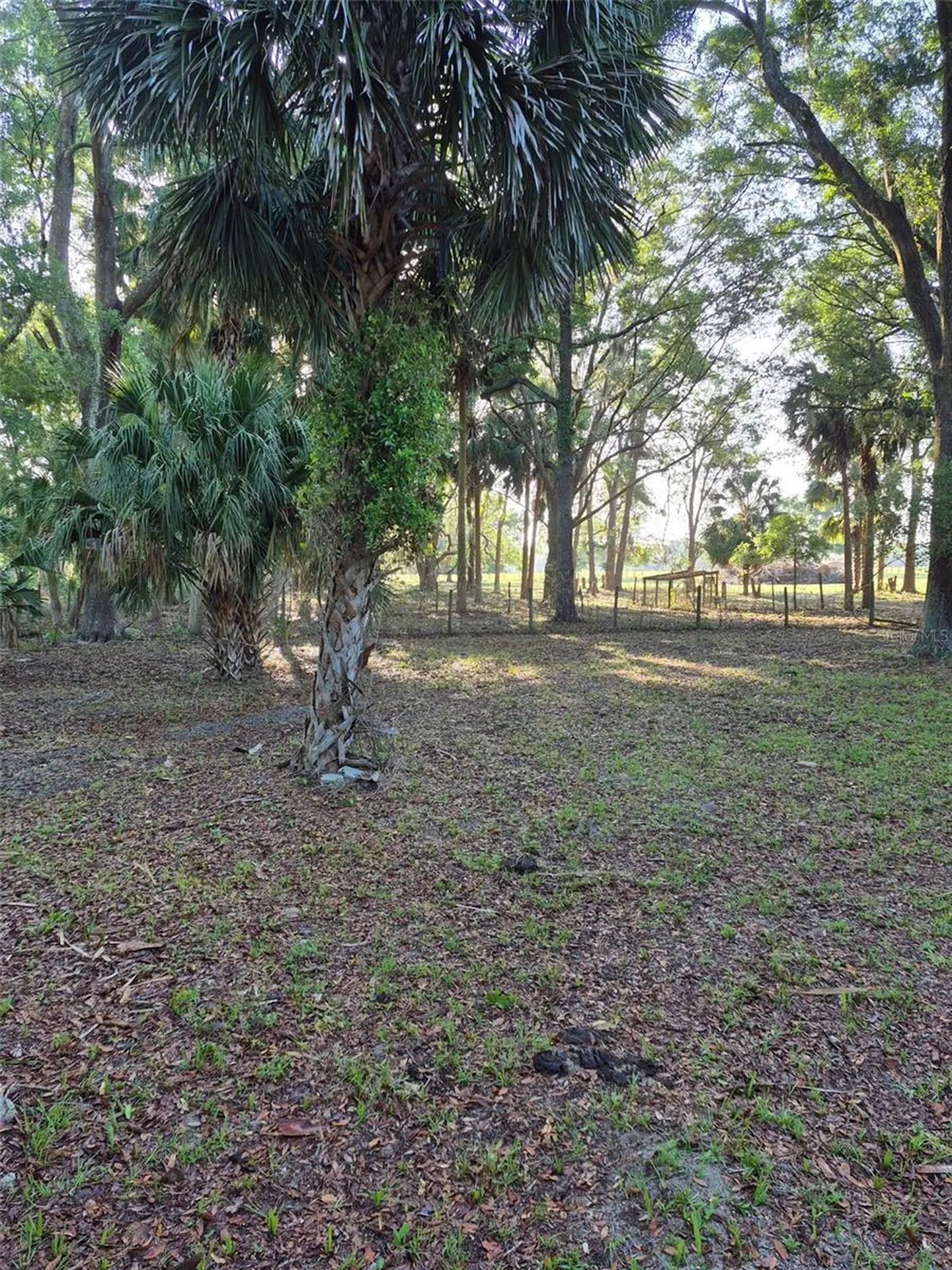 4351 NW 76th Court Chiefland FL 32626