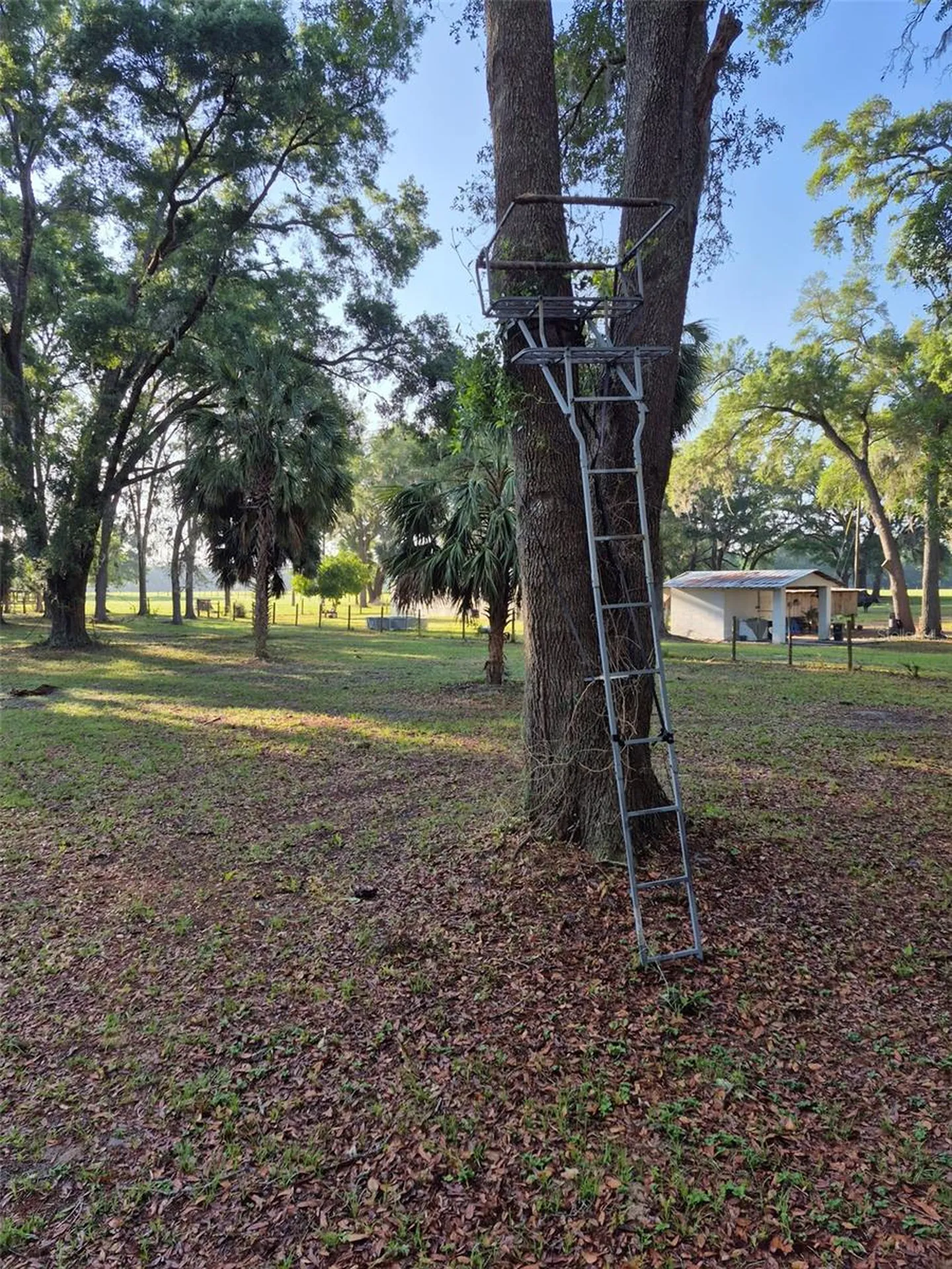 4351 NW 76th Court Chiefland FL 32626