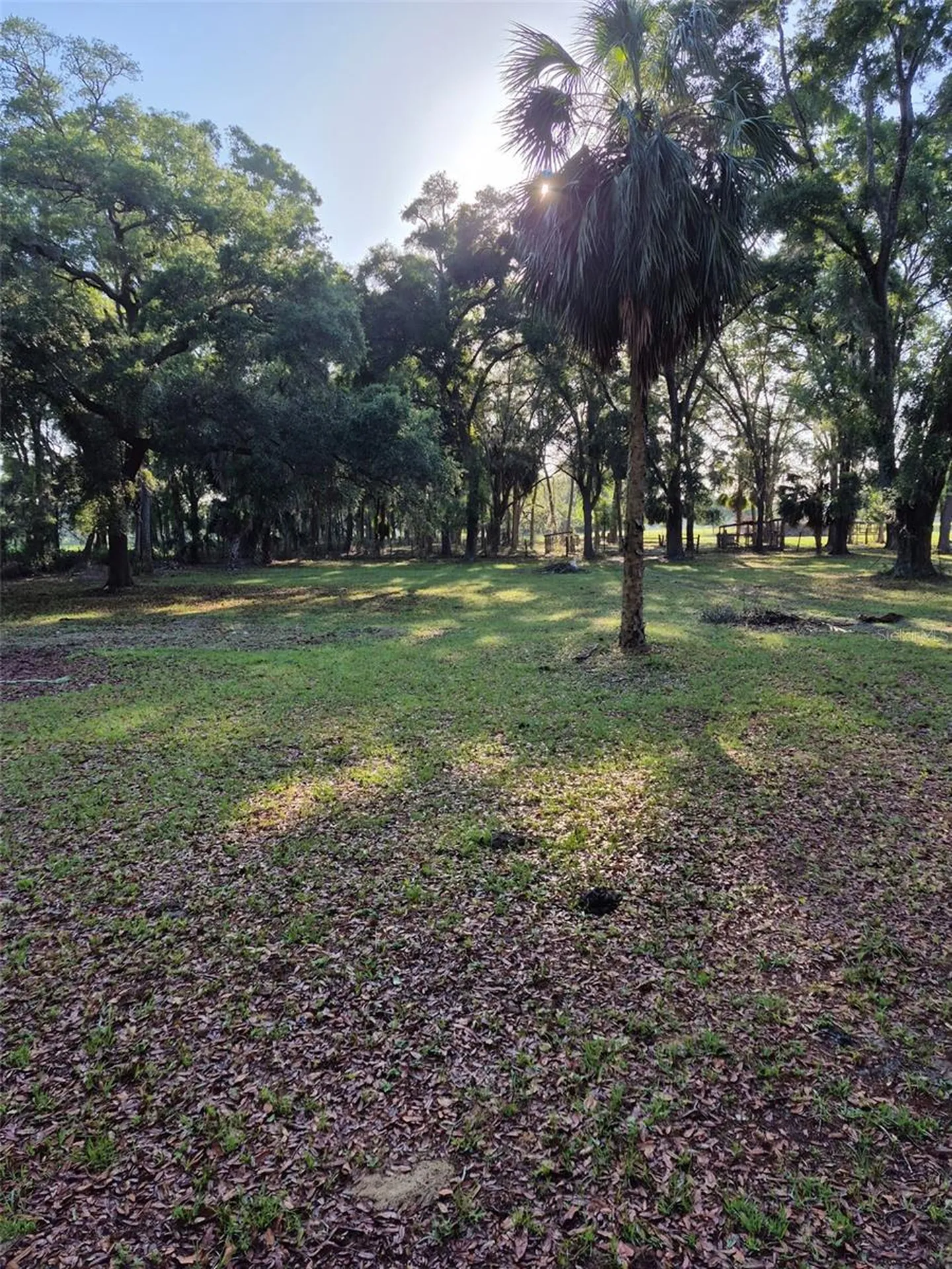 4351 NW 76th Court Chiefland FL 32626