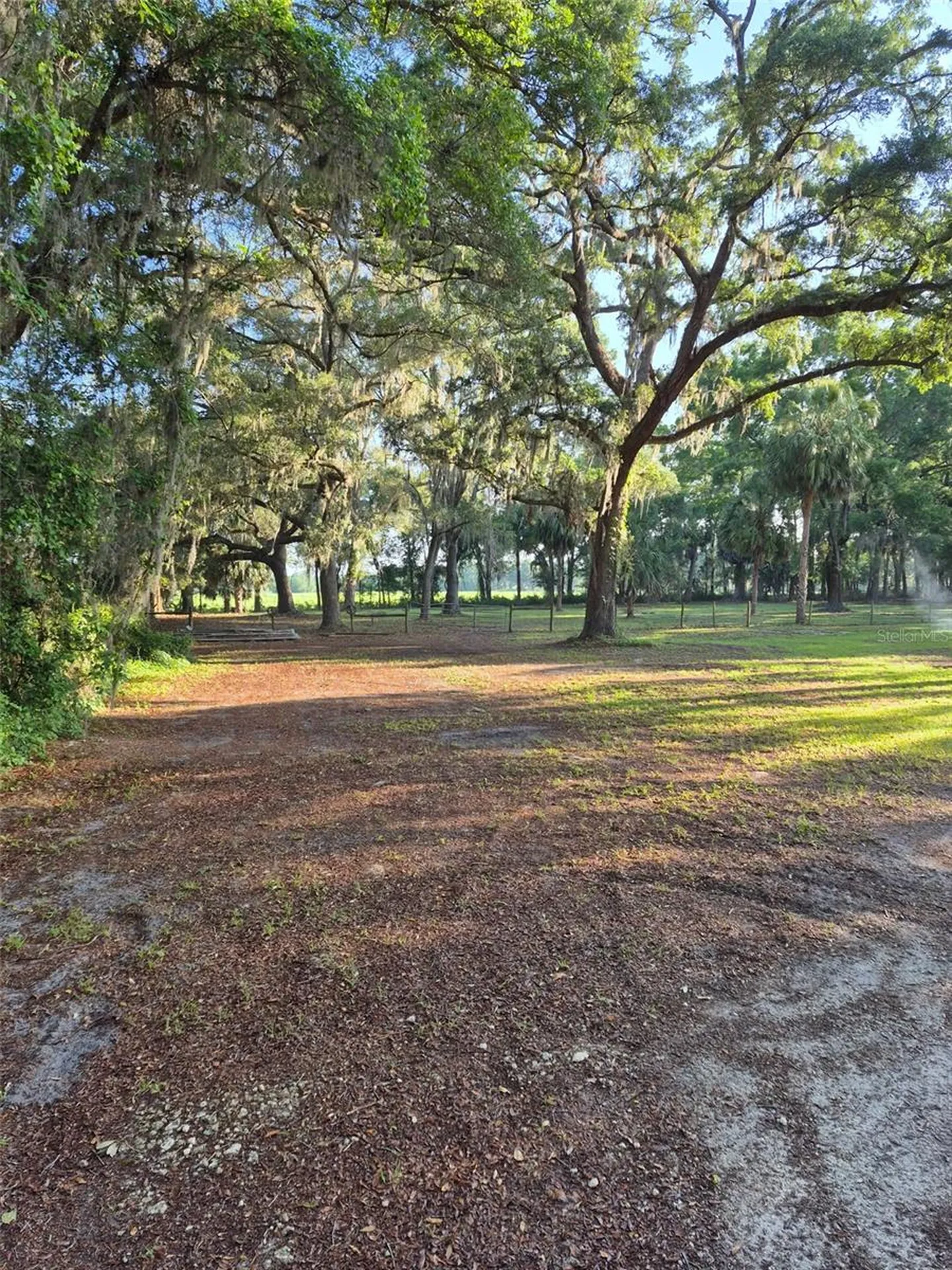 4351 NW 76th Court Chiefland FL 32626