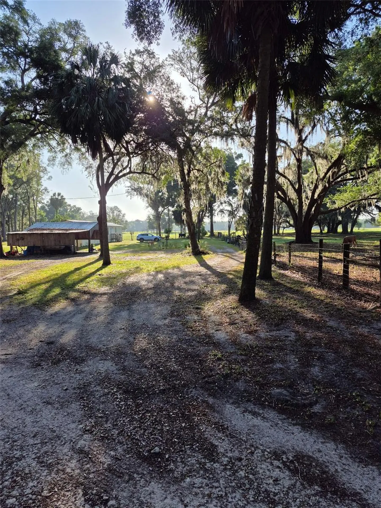 4351 NW 76th Court Chiefland FL 32626