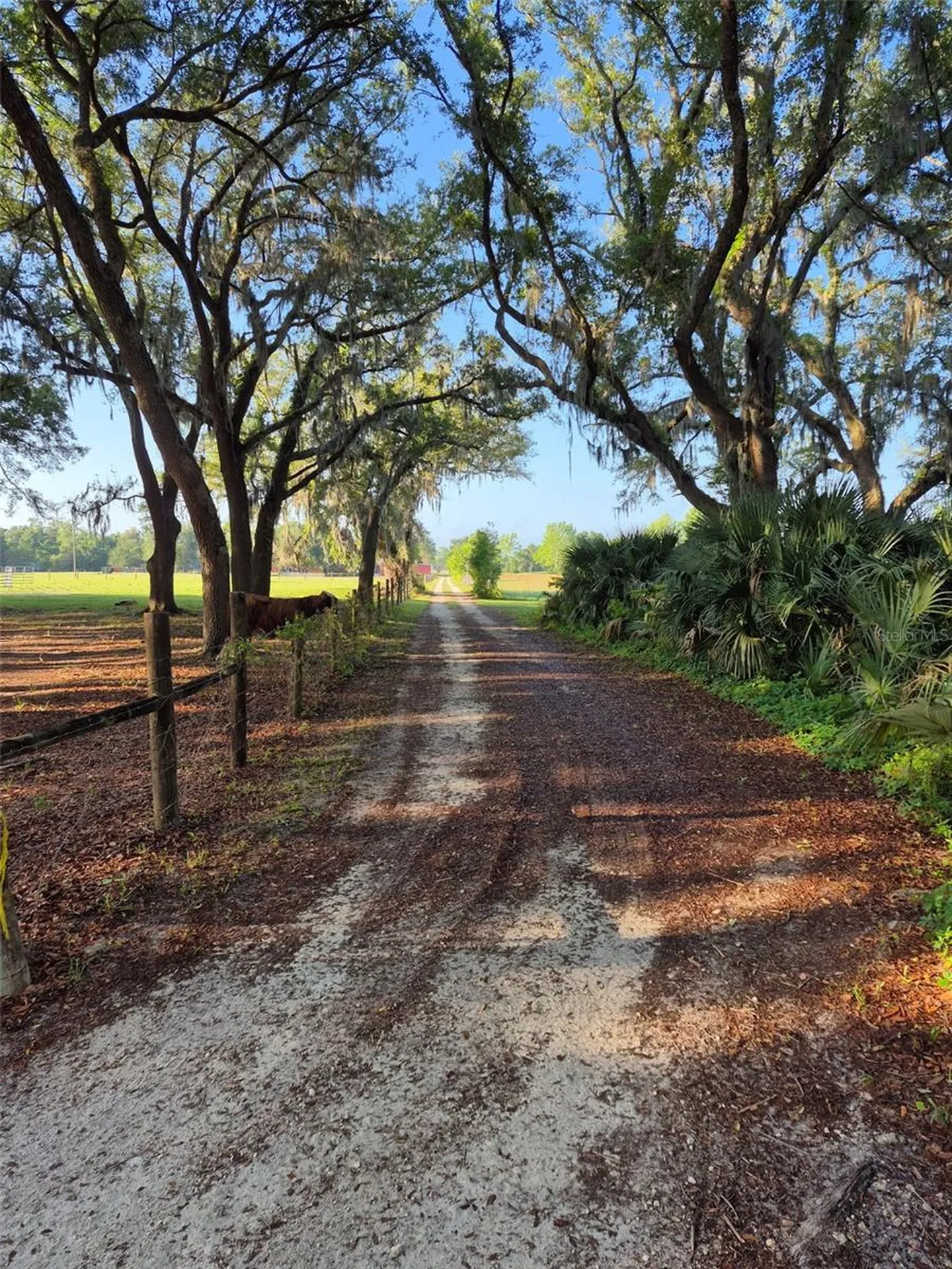 4351 NW 76th Court Chiefland FL 32626