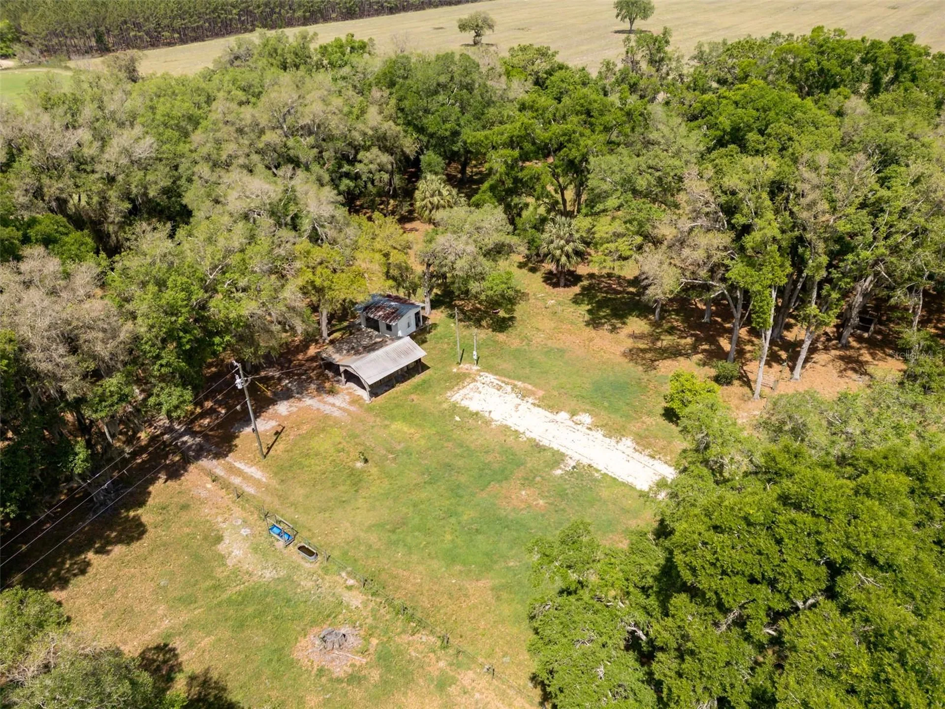 4351 NW 76th Court Chiefland FL 32626