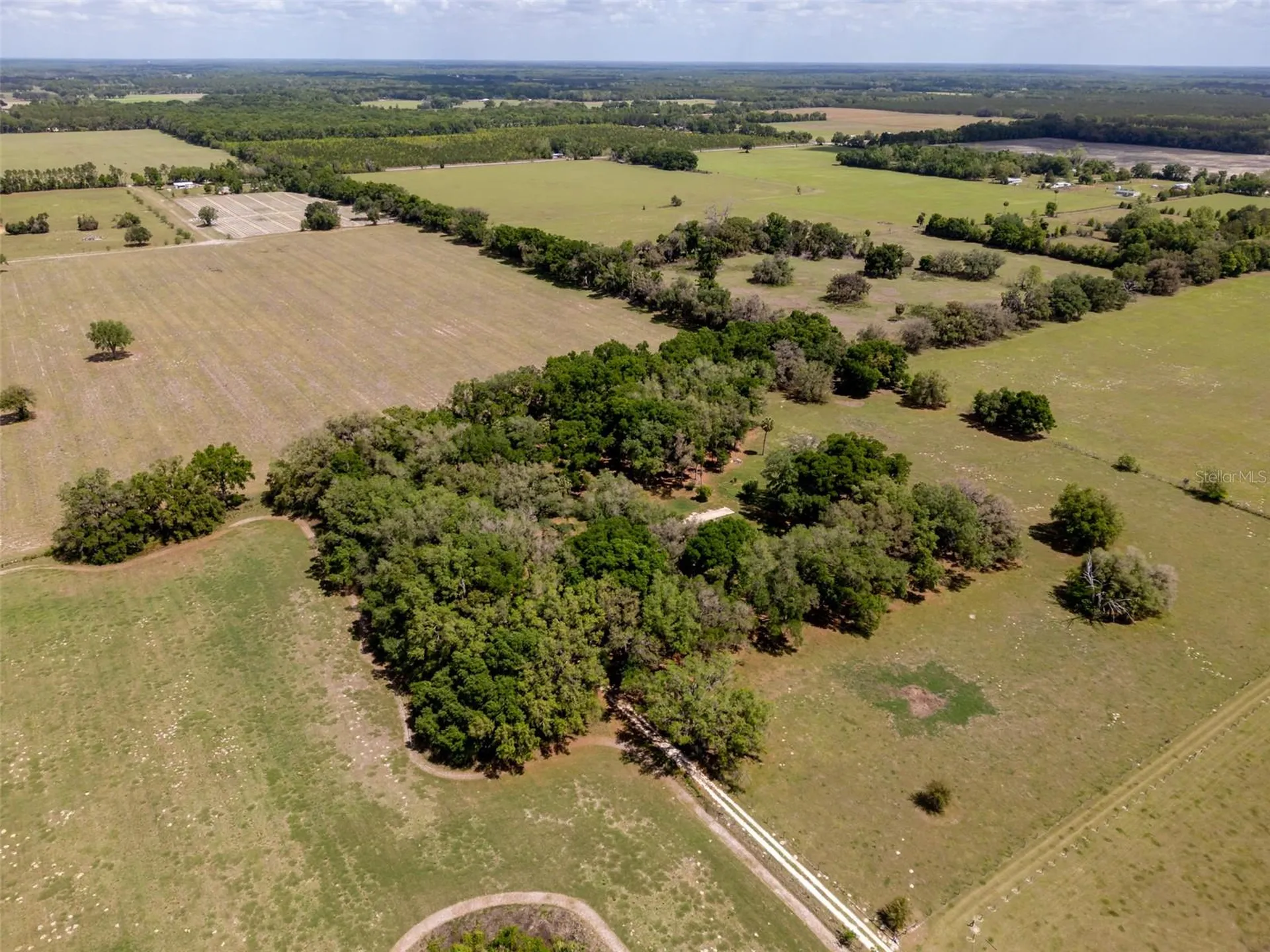 4351 NW 76th Court Chiefland FL 32626