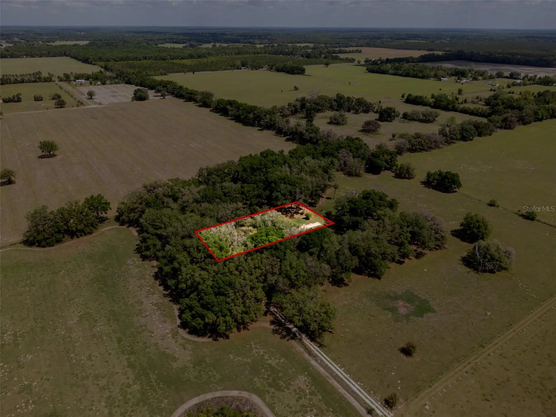 4351 NW 76th Court Chiefland FL 32626