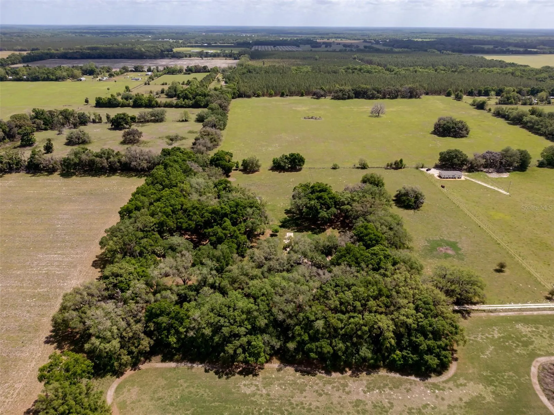 4351 NW 76th Court Chiefland FL 32626