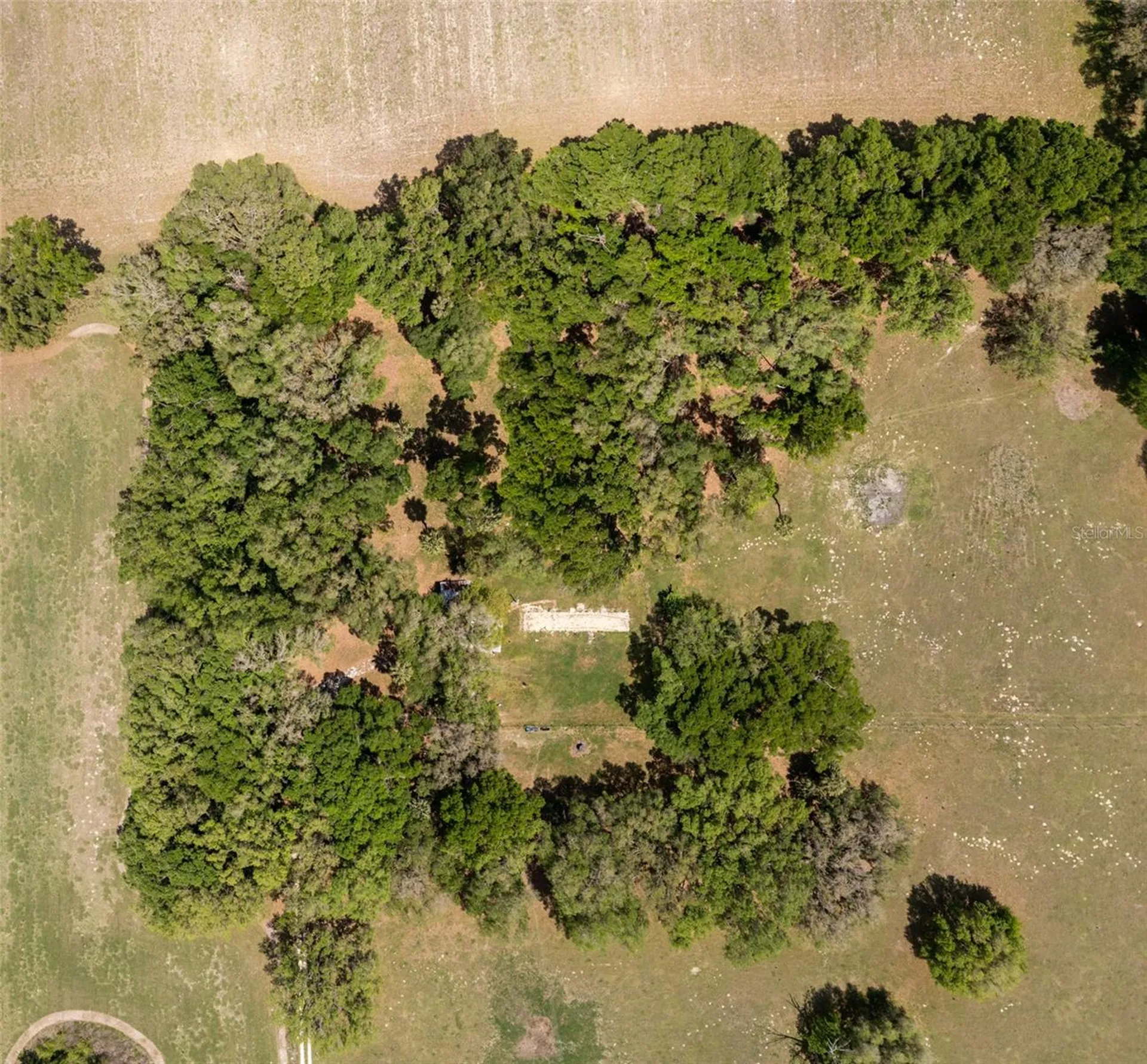 4351 NW 76th Court Chiefland FL 32626