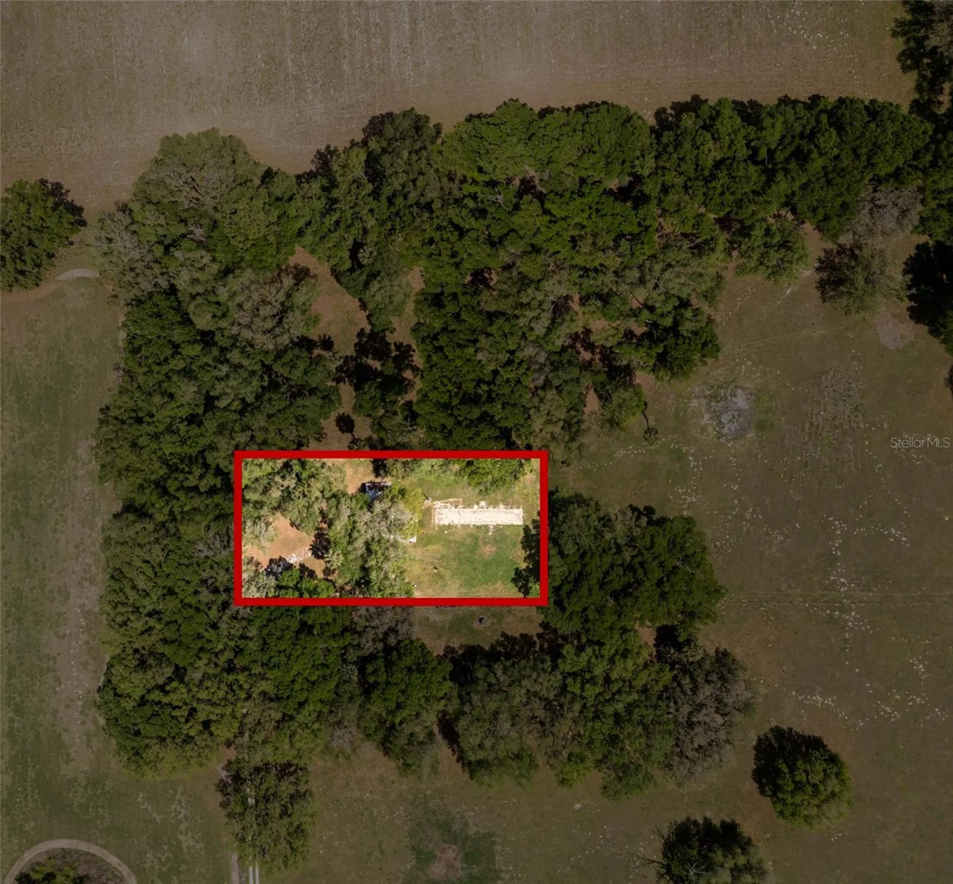 4351 NW 76th Court Chiefland FL 32626