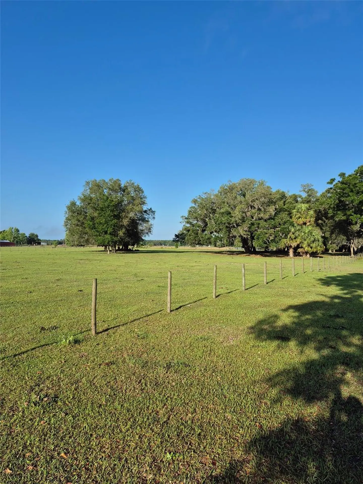 4351 NW 76th Court Chiefland FL 32626