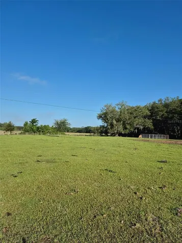 4351 NW 76th Court Chiefland FL 32626