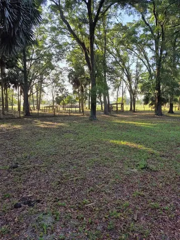 4351 NW 76th Court Chiefland FL 32626