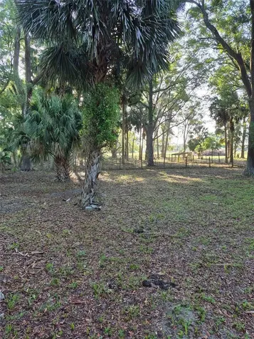 4351 NW 76th Court Chiefland FL 32626
