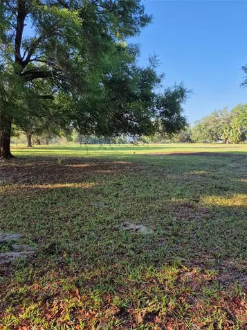 4351 NW 76th Court Chiefland FL 32626