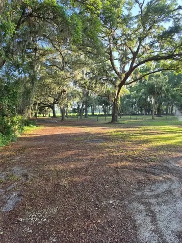 4351 NW 76th Court Chiefland FL 32626