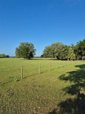 4351 NW 76th Court Chiefland FL 32626