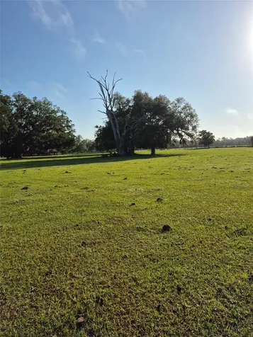 4351 NW 76th Court Chiefland FL 32626