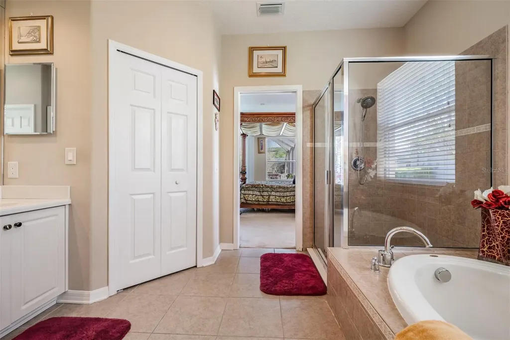19101 Lone Creek Court Land O Lakes FL 34638