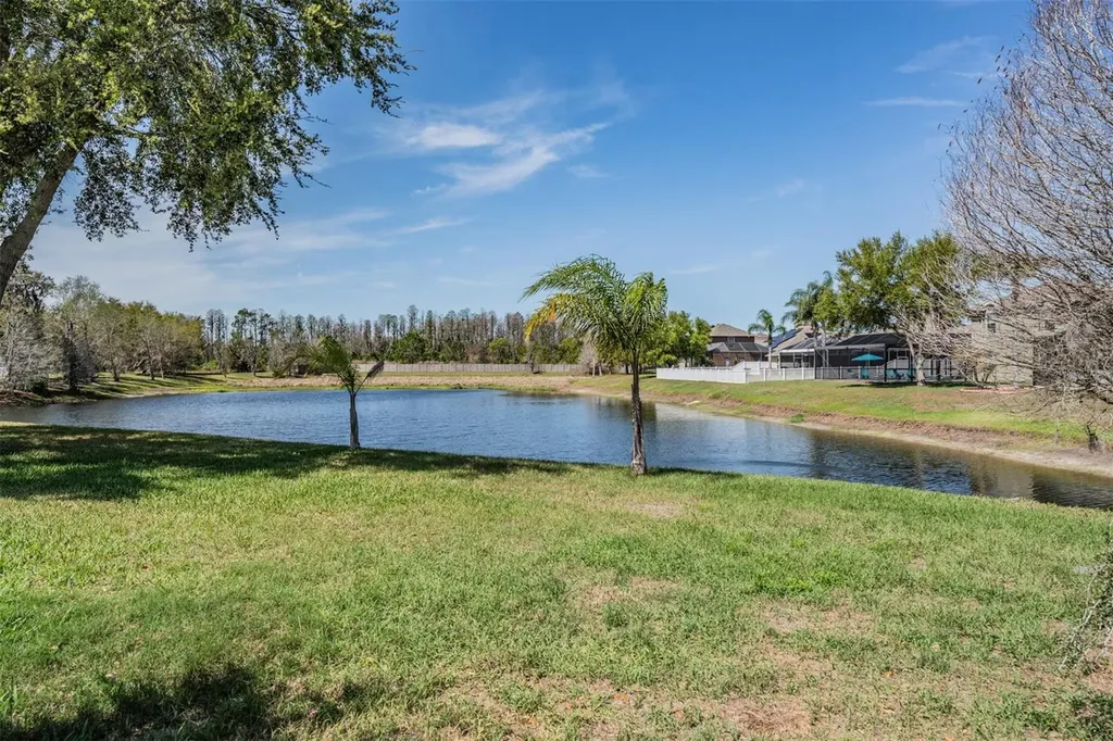 19101 Lone Creek Court Land O Lakes FL 34638