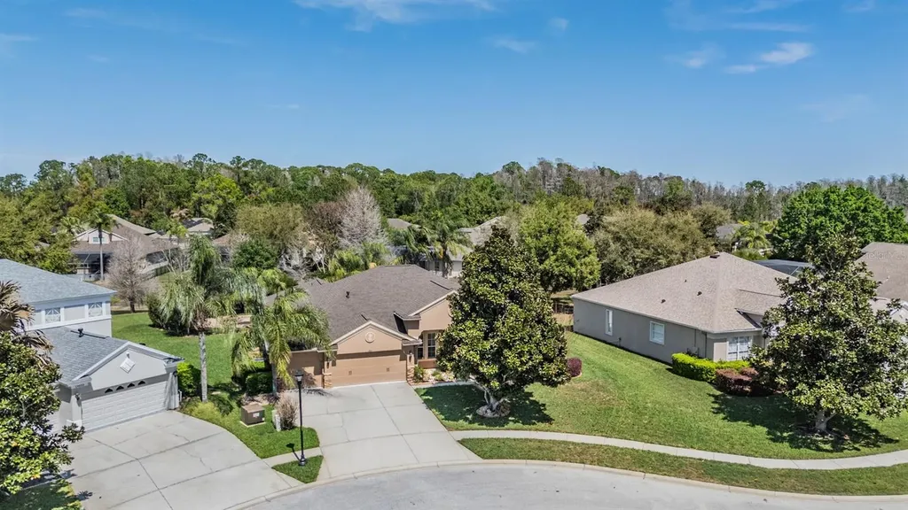 19101 Lone Creek Court Land O Lakes FL 34638