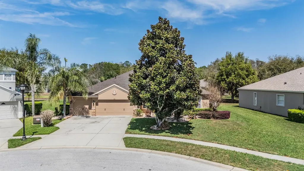 19101 Lone Creek Court Land O Lakes FL 34638