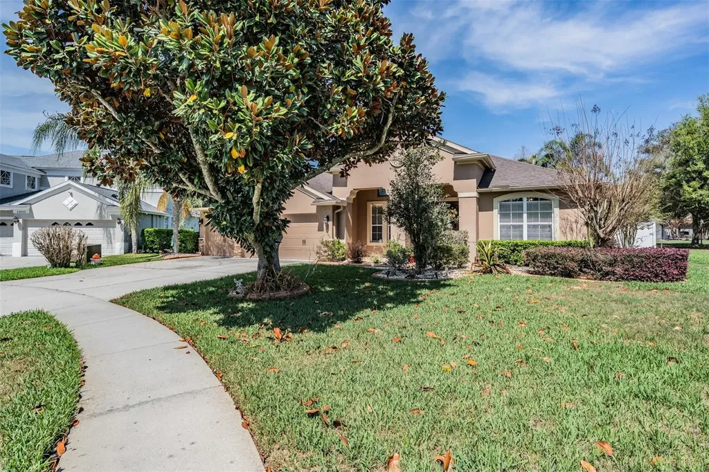 19101 Lone Creek Court Land O Lakes FL 34638