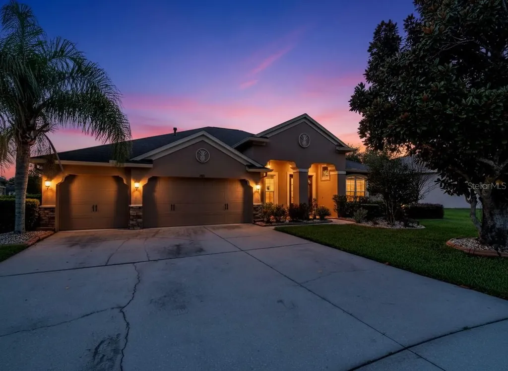 19101 Lone Creek Court Land O Lakes FL 34638