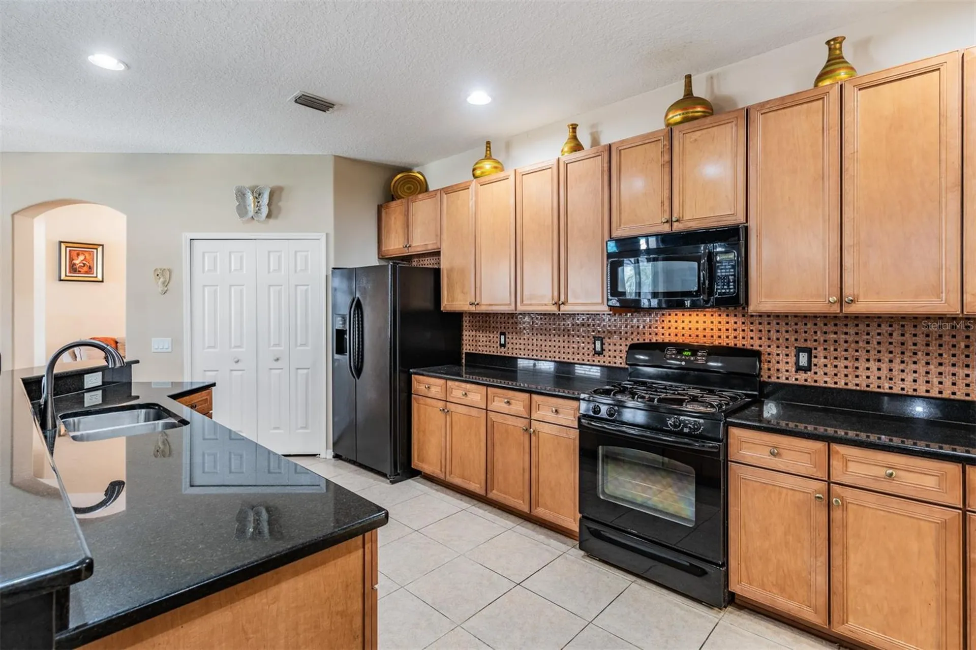19101 Lone Creek Court Land O Lakes FL 34638