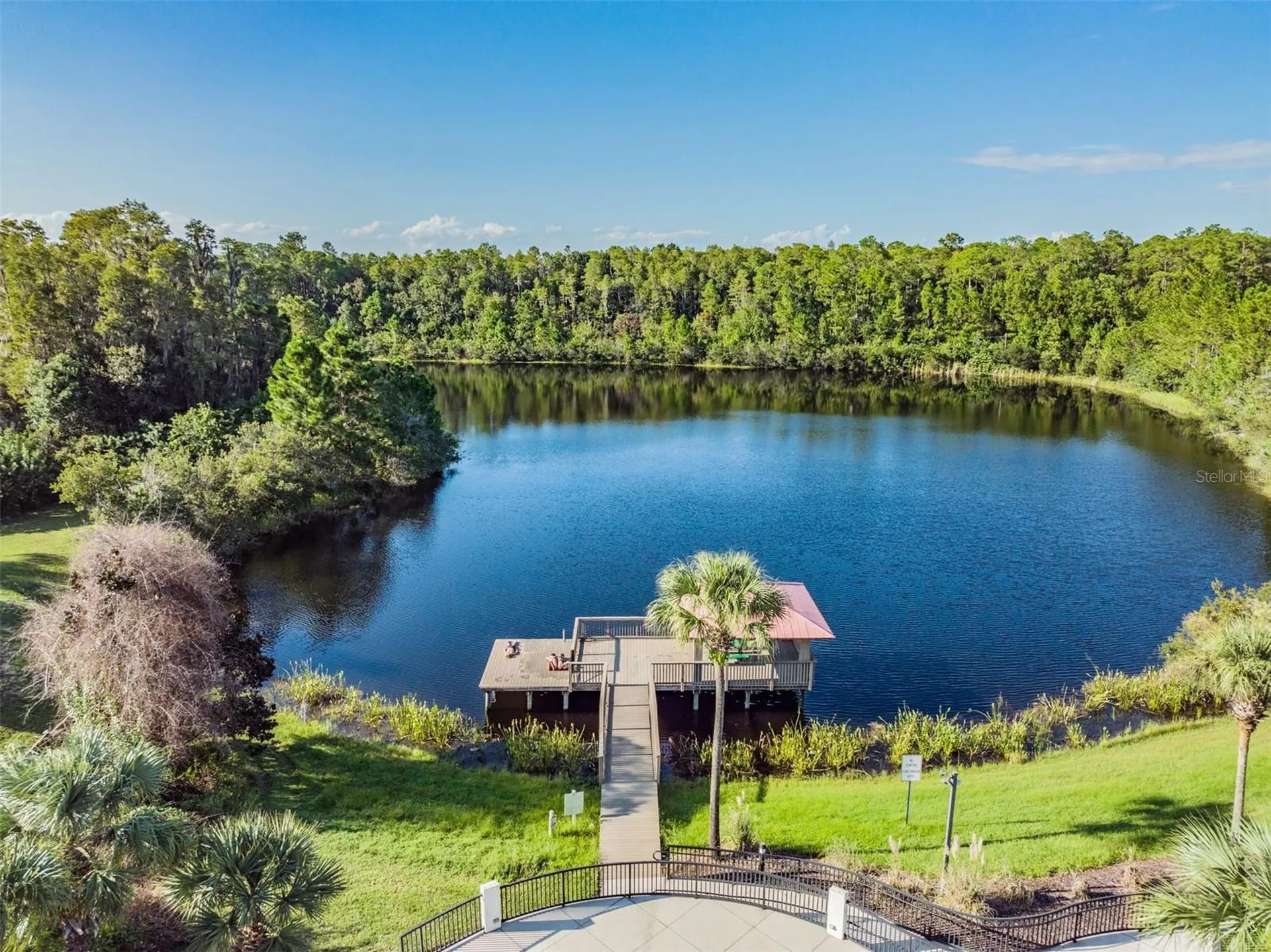 19101 Lone Creek Court Land O Lakes FL 34638