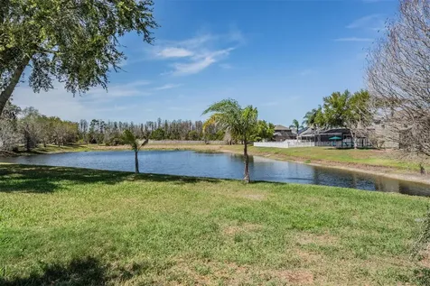 19101 Lone Creek Court Land O Lakes FL 34638