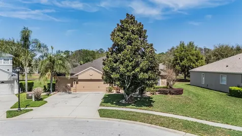 19101 Lone Creek Court Land O Lakes FL 34638