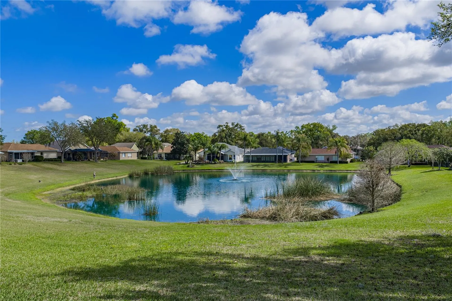 12231 Woodlands Circle Dade City FL 33525