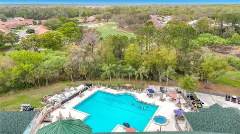 6353 Cardinal Crest Drive New Port Richey FL 34655