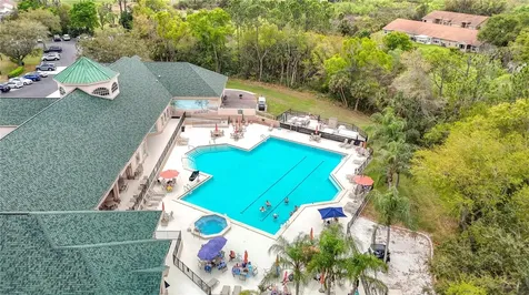 6353 Cardinal Crest Drive New Port Richey FL 34655