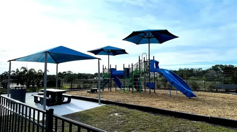 1387 Mountain Flower Lane Davenport FL 33837