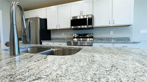 1387 Mountain Flower Lane Davenport FL 33837