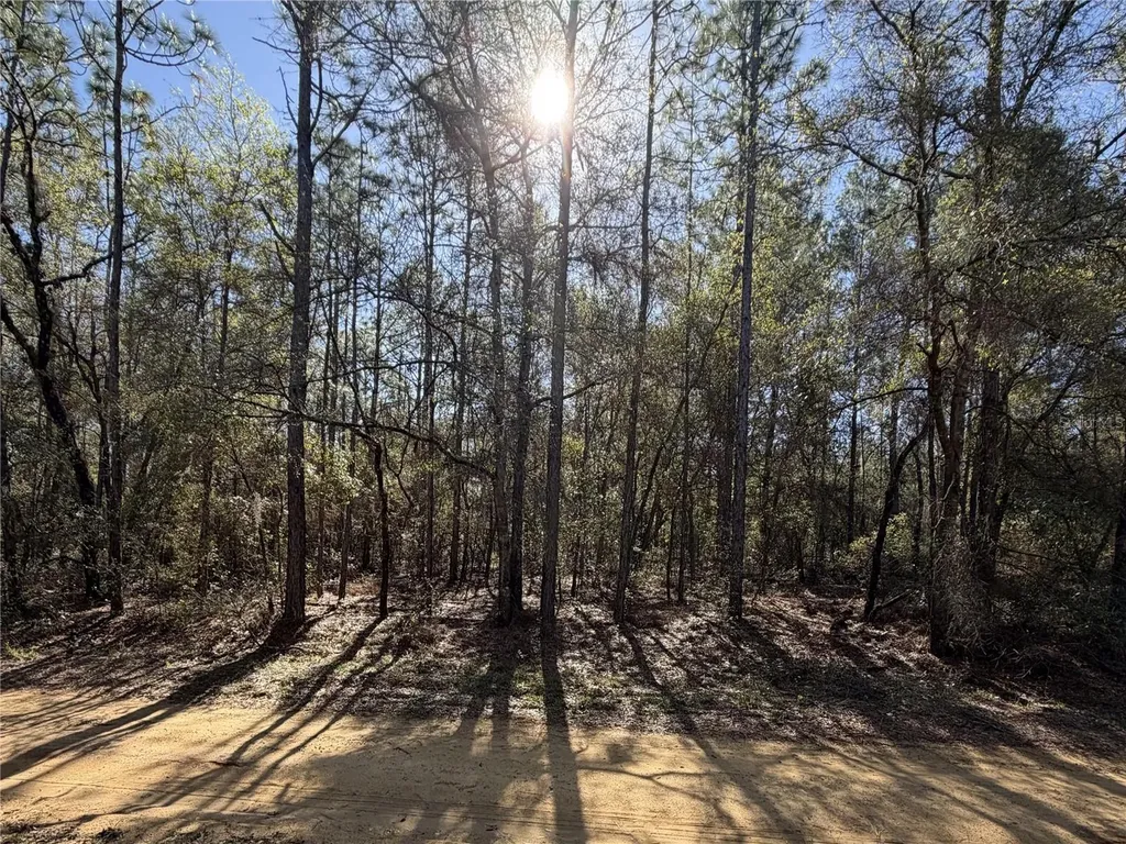 SE 7th Avenue Interlachen FL 32148