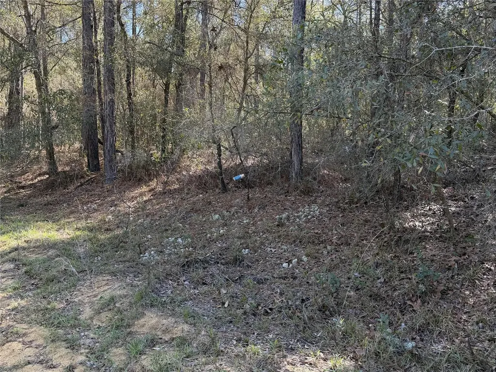 SE 7th Avenue Interlachen FL 32148