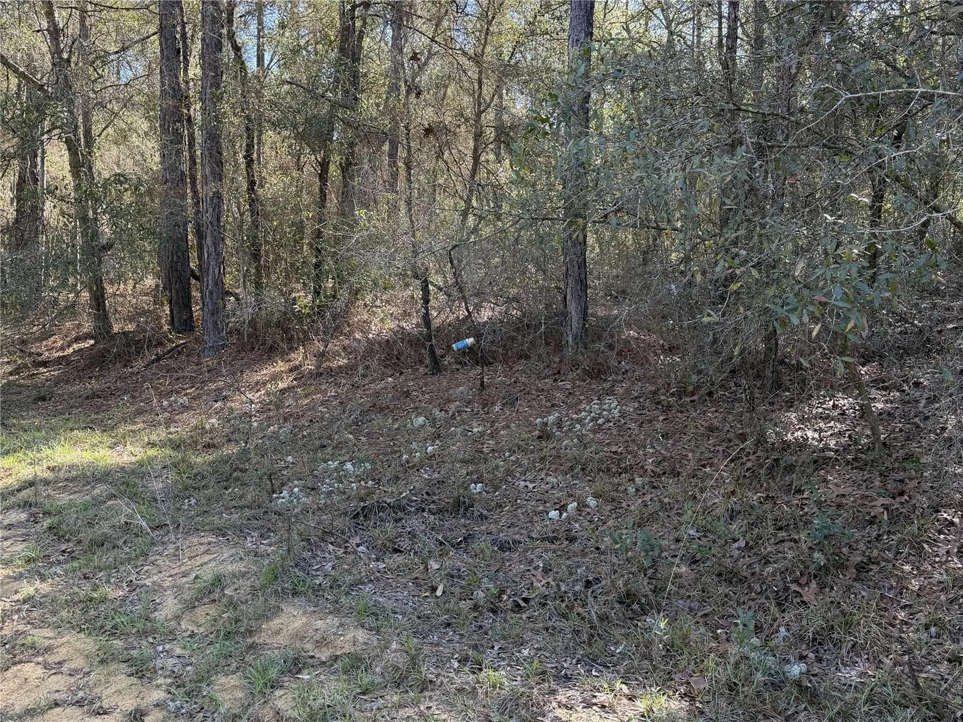 SE 7th Avenue Interlachen FL 32148