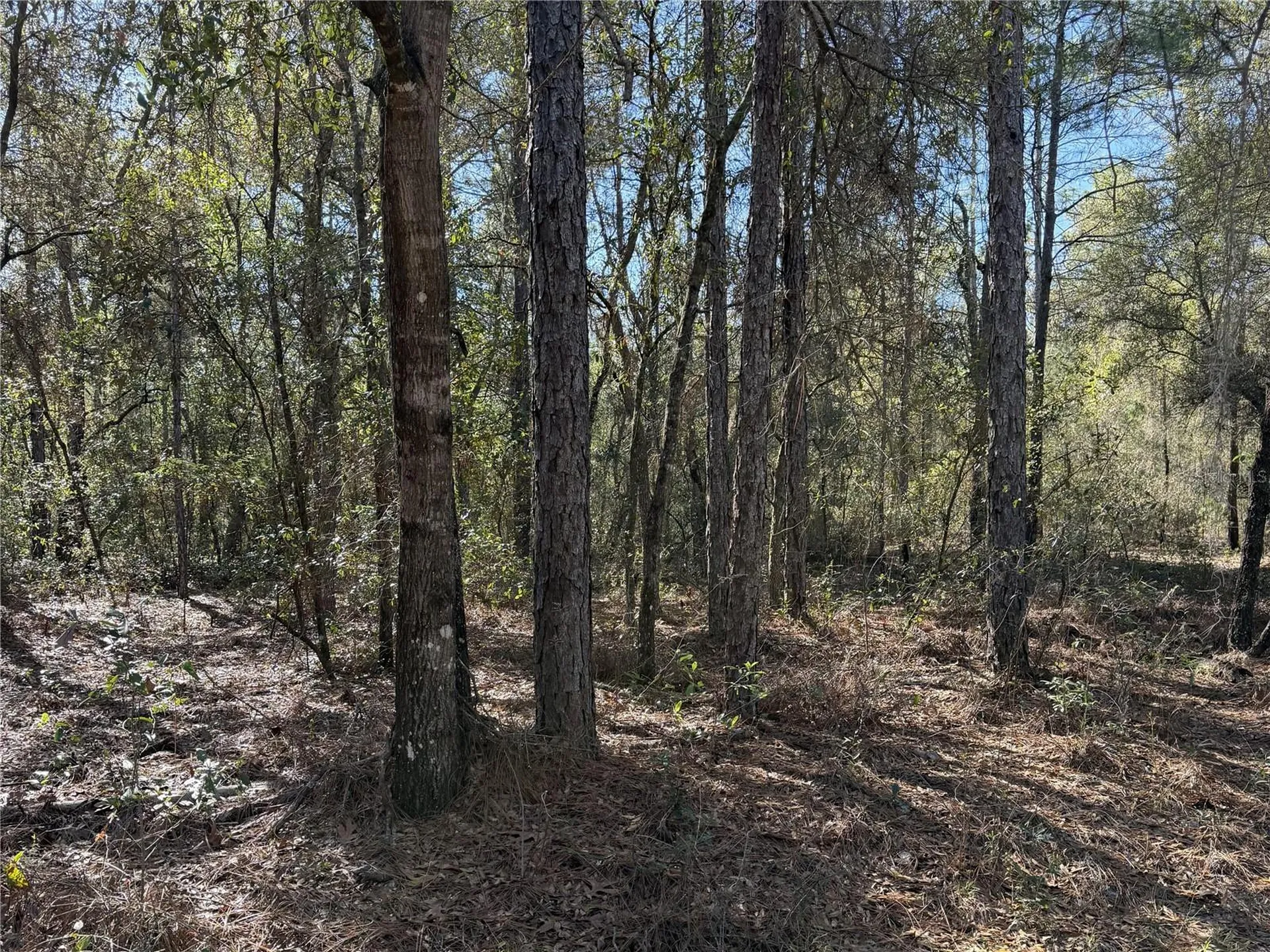 SE 7th Avenue Interlachen FL 32148