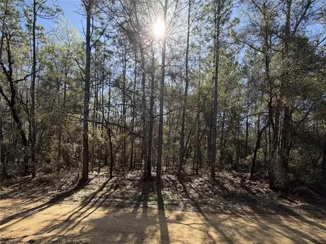 SE 7th Avenue Interlachen FL 32148