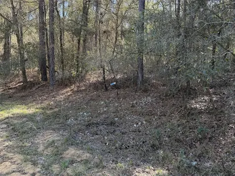 SE 7th Avenue Interlachen FL 32148