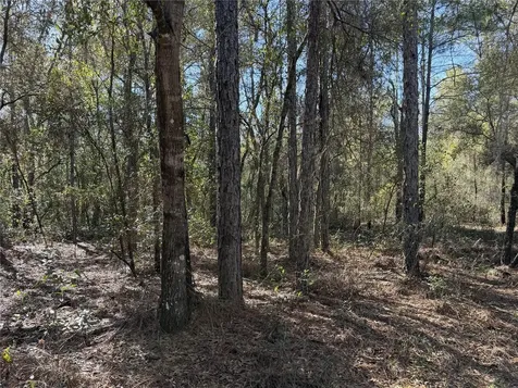 SE 7th Avenue Interlachen FL 32148