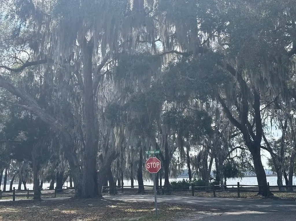 25146 NE 140th Loop Salt Springs FL 32134