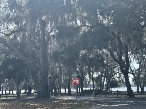 25146 NE 140th Loop Salt Springs FL 32134