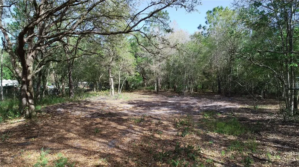 Cedarhurst Road Orlando FL 32820