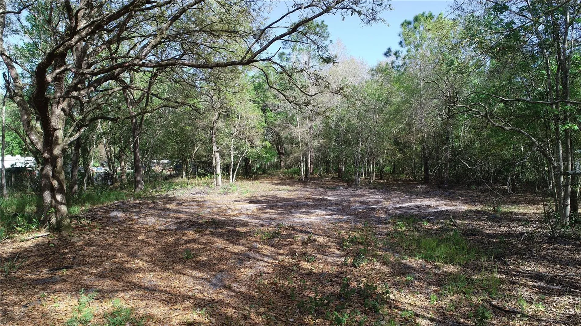 Cedarhurst Road Orlando FL 32820